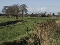 NL, Noord-Brabant, Bergeijk, Hoeker Beemden 9, Saxifraga-Jan van der Straaten