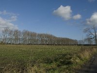 NL, Noord-Brabant, Bergeijk, Liskens 4, Saxifraga-Jan van der Straaten