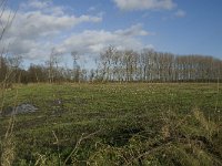 NL, Noord-Brabant, Bergeijk, Liskens 5, Saxifraga-Jan van der Straaten