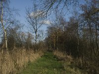 NL, Noord-Brabant, Bergeijk, Liskes Visvijver 14, Saxifraga-Marijke Verhagen