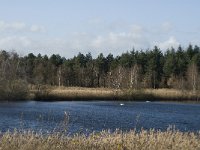 NL, Noord-Brabant, Bergeijk, Liskes Visvijver 9, Saxifraga-Marijke Verhagen