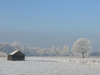 NL, Noord-Brabant, Bergeijk, Maaijerheide 1, Saxifraga-Tom Heijnen