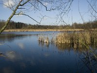 NL, Noord-Brabant, Bergeijk, Pastoorsweijer 3, Saxifraga-Jan van der Straaten