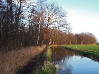 NL, Noord-Brabant, Bergeijk, Run & Grootgoor 1, Saxifraga-Tom Heijnen