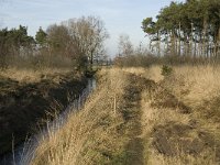 NL, Noord-Brabant, Bergeijk, Zwarte Horstweijer 12, Saxifraga-Jan van der Straaten