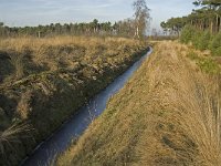 NL, Noord-Brabant, Bergeijk, Zwarte Horstweijer 8, Saxifraga-Jan van der Straaten