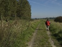 NL, Noord-Brabant, Bergen op Zoom, Molenplaat 3, Saxifraga-Jan van der Straaten