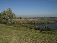 NL, Noord-Brabant, Bergen op Zoom, Zoommeer 1, Saxifraga-Jan van der Straaten