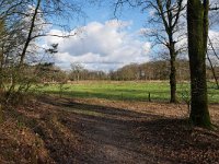 NL, Noord-Brabant, Bladel, Beersbroek 15, Saxifraga-Tom Heijnen