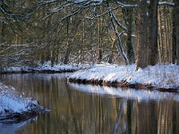 NL, Noord-Brabant, Bladel, Beersbroek 24, Saxifraga-Tom Heijnen