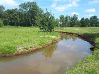 NL, Noord-Brabant, Bladel, Beersbroek 25, Saxifraga-Tom Heijnen