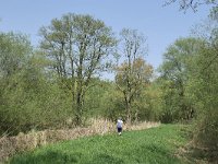 NL, Noord-Brabant, Bladel, Beersbroek 6, Saxifraga-Tom Heijnen