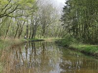 NL, Noord-Brabant, Bladel, Beersbroek 9, Saxifraga-Tom Heijnen