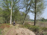 NL, Noord-Brabant, Bladel, De Grijze Steen 2, Saxifraga-Tom Heijnen