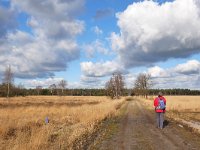 NL, Noord-Brabant, Bladel, Neterselsche Heide 2, Saxifraga-Tom Heijnen