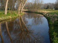 NL, Noord-Brabant, Boxtel 2, Saxifraga-Jan van der Straaten