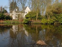 NL, Noord-Brabant, Boxtel 6, Saxifraga-Jan van der Straaten