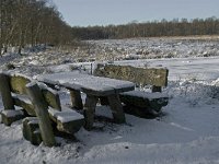 NL, Noord-Brabant, Boxtel, Banisveld 12, Saxifraga-Jan van der Straaten