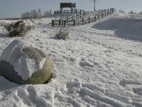 NL, Noord-Brabant, Boxtel, Banisveld 7, Saxifraga-Jan van der Straaten