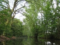 NL, Noord-Brabant, Boxtel, Dommel 2, Saxifraga-Henk Sierdsema