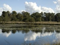 NL, Noord-Brabant, Boxtel, Flessenven 1, Saxifraga-Marijke Verhagen