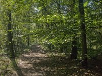 NL, Noord-Brabant, Boxtel, Fransman 5, Saxifraga-Jan van der Straaten