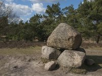 NL, Noord-Brabant, Boxtel, Graf van Van Tienhoven 1, Saxifraga-Jan van der Straaten