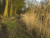 NL, Noord-Brabant, Boxtel, Het Speet 22, Saxifraga-Jan van der Straaten