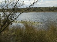 NL, Noord-Brabant, Boxtel, Huisven 3, Saxifraga-Marijke Verhagen