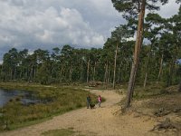 NL, Noord-Brabant, Boxtel, Huisvennen 3, Saxifraga-Jan van der Straaten