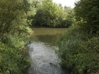 NL, Noord-Brabant, Boxtel, Kampina, Beerze 10, Saxifraga-Jan van der Straaten