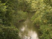 NL, Noord-Brabant, Boxtel, Kampina, Beerze 11, Saxifraga-Jan van der Straaten