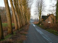 NL, Noord-Brabant, Boxtel, Liempde, Gemondestraat 1, Saxifraga-Tom Heijnen