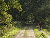 NL, Noord-Brabant, Boxtel, Zegenrode 1, Saxifraga-Jan van der Straaten