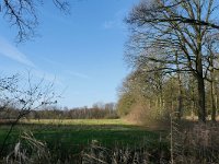 NL, Noord-Brabant, Cranendonck, Boschvelden near Landgoed De Pan 5, Saxifraga-Tom Heijnen