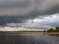 NL, Noord-Brabant, Cranendonck, Gastelsche Heide (Oude Strijper Aa) 8, Saxifraga-Tom Heijnen