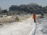 NL, Noord-Brabant, Cranendonck, Groote Heide 16, Saxifraga-Jan van der Straaten