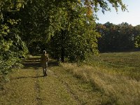 NL, Noord-Brabant, Cranendonck, Hugterheide 3, Saxifraga-Jan van der Straaten