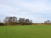 NL, Noord-Brabant, Cranendonck, N of Gastelsche Heide 3, Saxifraga-Tom Heijnen