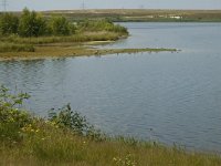 NL, Noord-Brabant, Cranendonck, Ringselven 12, Saxifraga-Marijke Verhagen