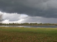 NL, Noord-Brabant, Cranendonck, Soerendonks Goor 3, Saxifraga-Tom Heijnen