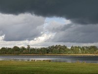 NL, Noord-Brabant, Cranendonck, Soerendonks Goor 4, Saxifraga-Tom Heijnen