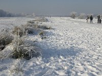 NL, Noord-Brabant, Cranendonck, Soerendonks Goor 9, Saxifraga-Jan van der Straaten