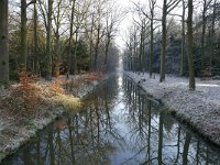 NL, Noord-Brabant, Cranendonck, Sterkselsch Kanaal in Landgoed De Pan 1, Saxifraga-Tom Heijnen