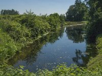 NL, Noord-Brabant, Deurne, Kanaal van Deurne 1, Saxifraga-Marijke Verhagen