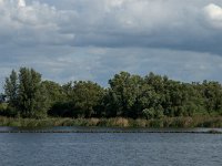 NL, Noord-Brabant, Drimmelen, Amer 29, Saxifraga-Jan van der Straaten