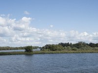 NL, Noord-Brabant, Drimmelen, Amer 55, Saxifraga-Willem van Kruijsbergen