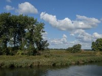 NL, Noord-Brabant, Drimmelen, Benedenste Jannezand 3, Saxifraga-Jan van der Straaten