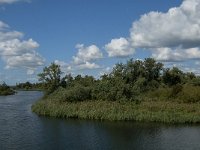 NL, Noord-Brabant, Drimmelen, Biezengors beoosten Honderd en Dertig 5, Saxifraga-Jan van der Straaten