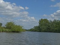 NL, Noord-Brabant, Drimmelen, Buiten Kooigat 1, Saxifraga-Jan van der Straaten